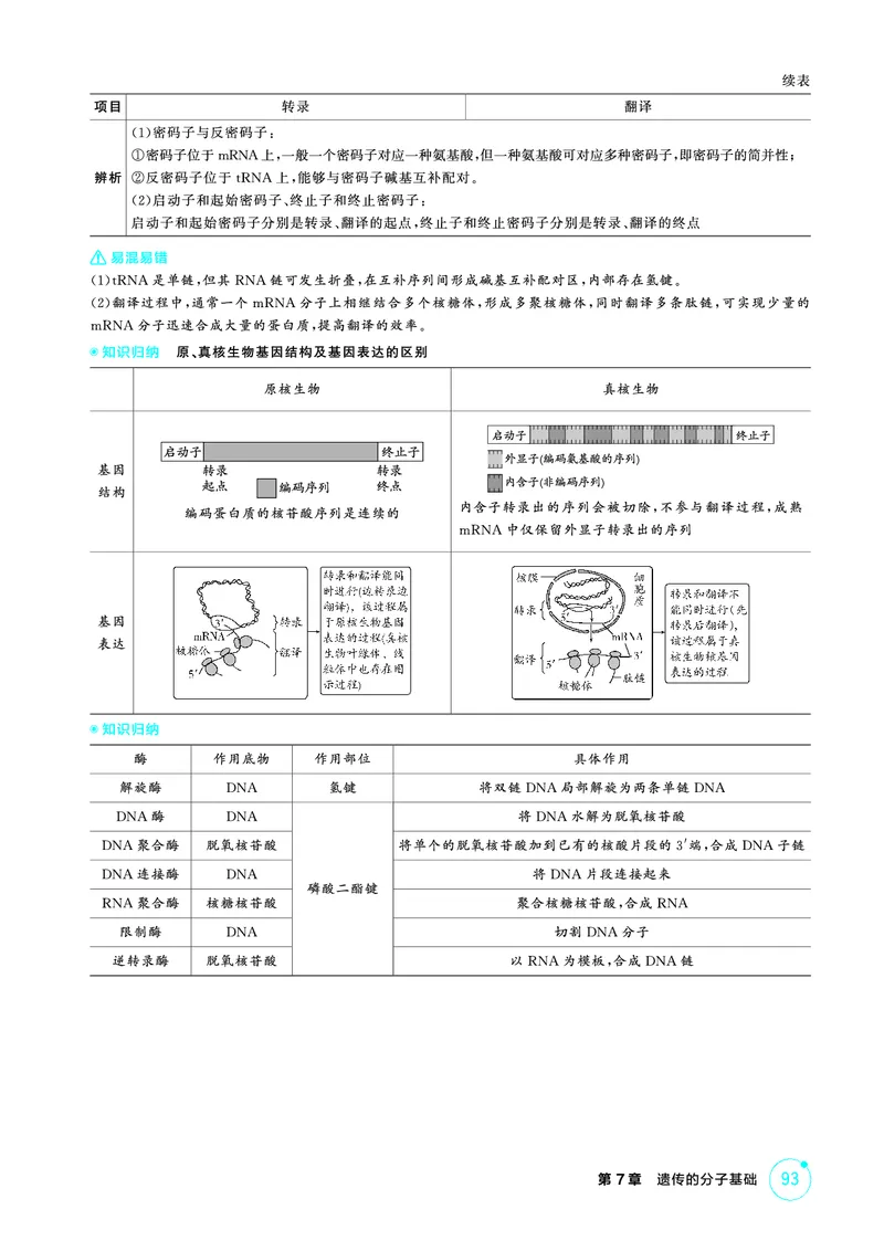 《1_精讲册-第7章遗传的分子基础_2026版教学资源包_202653高考总复习A版_浙江版_2026版.浙江版.选考总复习.生物.5·3A版_第2部分遗传与进化_第7章遗传的分子基础_2_精讲册PDF》第6页预览
