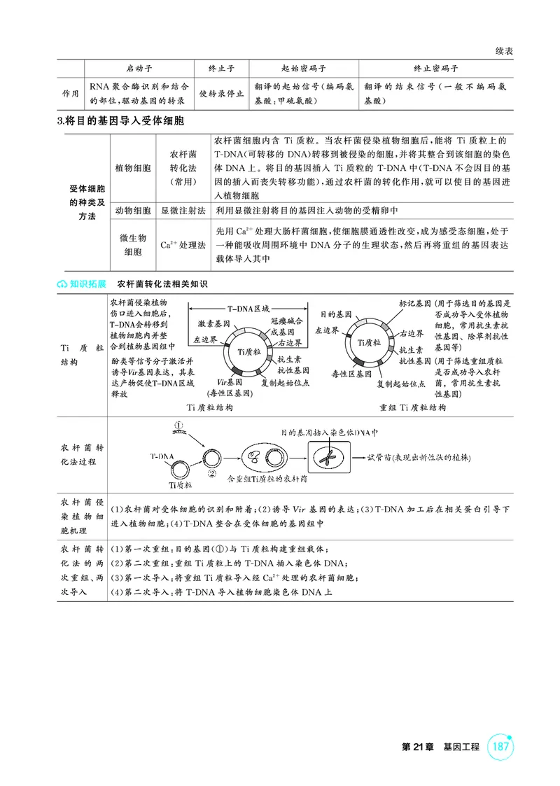 《1_精讲册-第21章基因工程_2026版教学资源包_202653高考总复习A版_浙江版_2026版.浙江版.选考总复习.生物.5·3A版_第5部分生物技术与工程_第21章基因工程_2_精讲册PDF》第4页预览