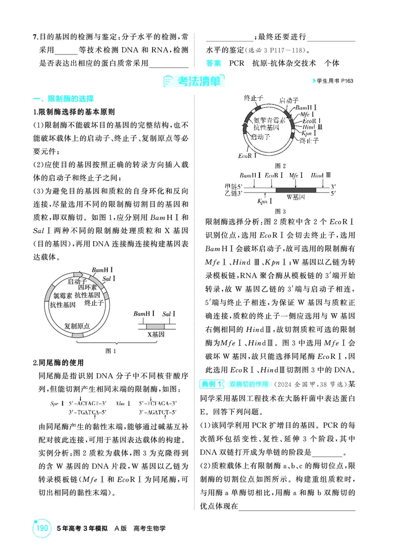 《1_精讲册-第21章基因工程_2026版教学资源包_202653高考总复习A版_浙江版_2026版.浙江版.选考总复习.生物.5·3A版_第5部分生物技术与工程_第21章基因工程_2_精讲册PDF》第7页预览