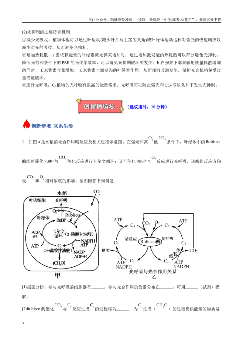《重难题型03光呼吸、光抑制与光系统（教师版）_06-生物-高考总复习_专项复习_2025年_2025年高考生物重难点讲义专练（新高考通用）》第3页预览