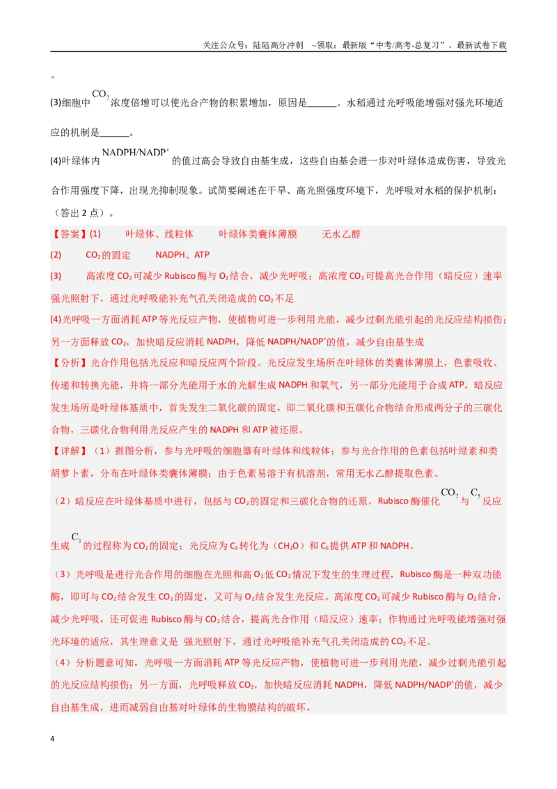 《重难题型03光呼吸、光抑制与光系统（教师版）_06-生物-高考总复习_专项复习_2025年_2025年高考生物重难点讲义专练（新高考通用）》第4页预览