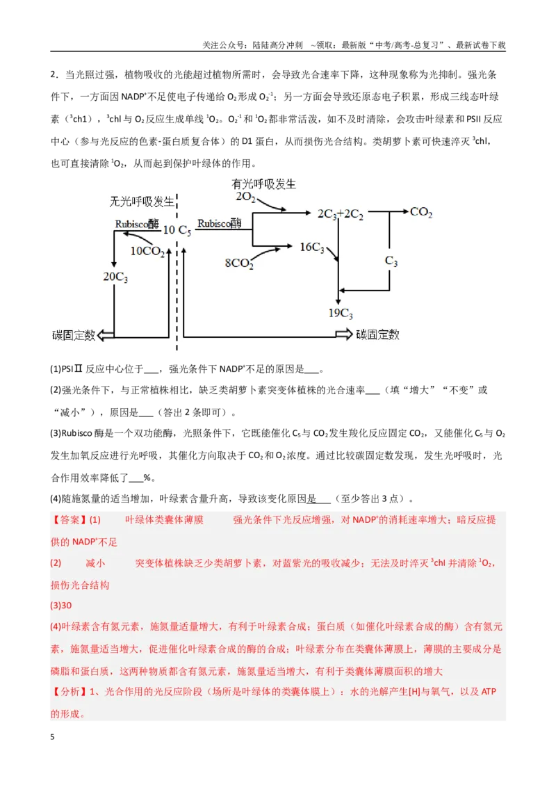 《重难题型03光呼吸、光抑制与光系统（教师版）_06-生物-高考总复习_专项复习_2025年_2025年高考生物重难点讲义专练（新高考通用）》第5页预览