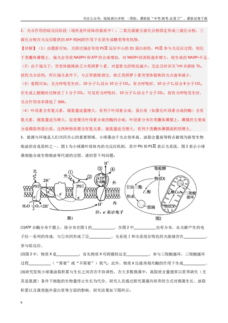 《重难题型03光呼吸、光抑制与光系统（教师版）_06-生物-高考总复习_专项复习_2025年_2025年高考生物重难点讲义专练（新高考通用）》第6页预览