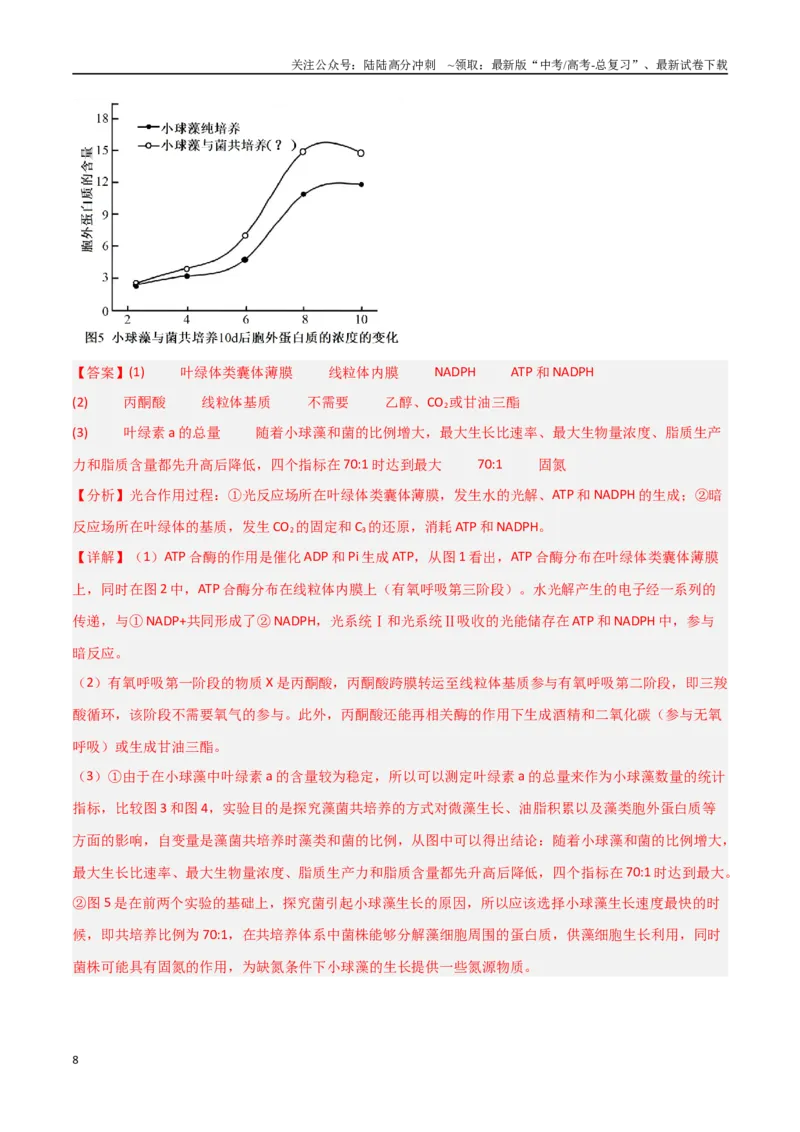 《重难题型03光呼吸、光抑制与光系统（教师版）_06-生物-高考总复习_专项复习_2025年_2025年高考生物重难点讲义专练（新高考通用）》第8页预览