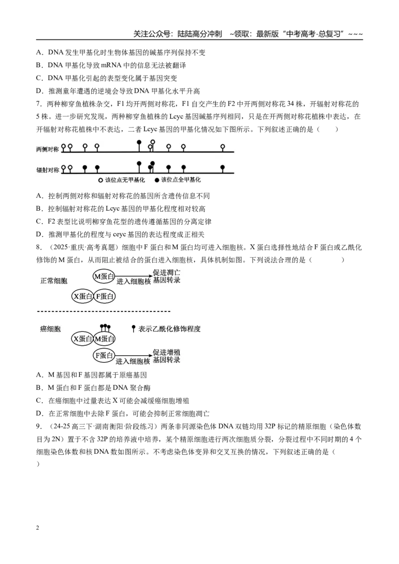 《第六单元遗传的分子基础（综合训练）（湖南专用）（学生版）_06-生物-高考总复习_一轮复习_2026年-生物高考一轮复习_2026年高考生物一轮课件+讲义+练习（湖南专用）-G331》第2页预览