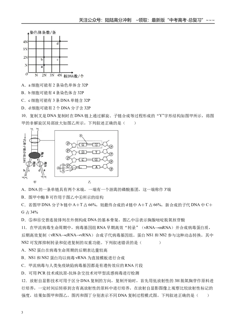 《第六单元遗传的分子基础（综合训练）（湖南专用）（学生版）_06-生物-高考总复习_一轮复习_2026年-生物高考一轮复习_2026年高考生物一轮课件+讲义+练习（湖南专用）-G331》第3页预览