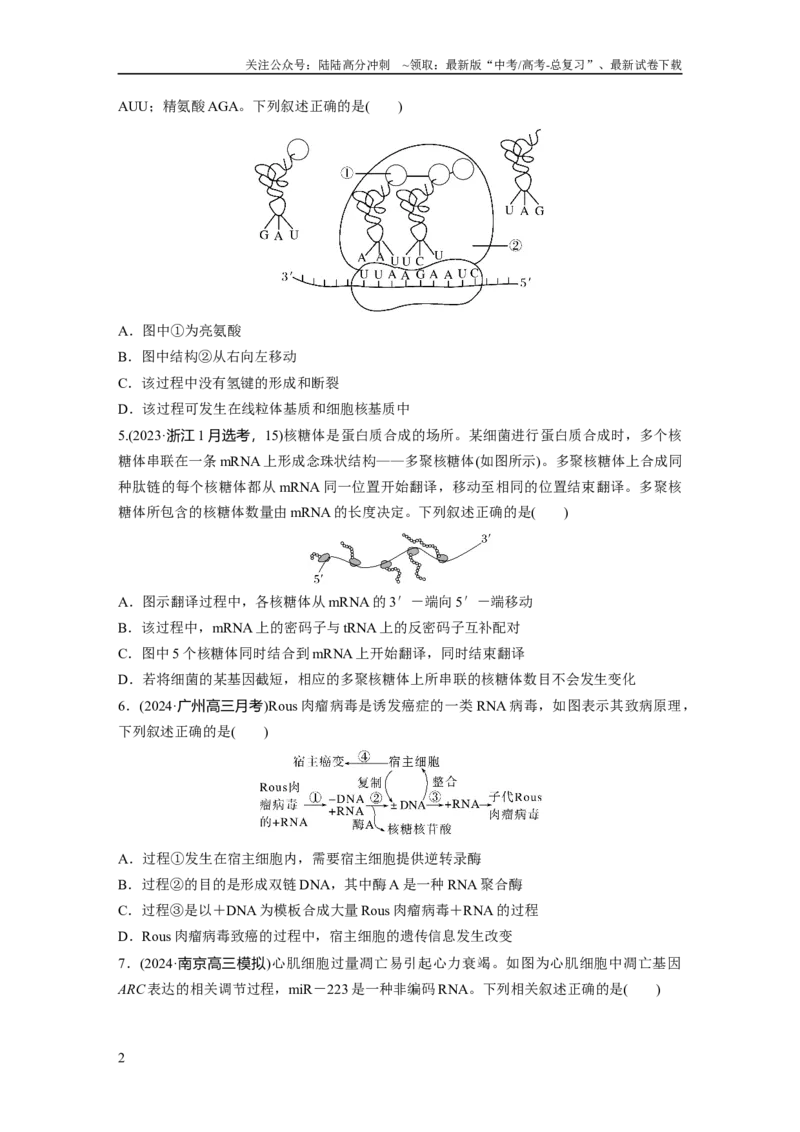 《第六单元　课时练31　基因的表达_06-生物-高考总复习_一轮复习_2025年_2025年大一轮复习讲义人教版生物_资料_1-资料_大一轮复习讲义学生专用_2025一轮复习73练》第2页预览
