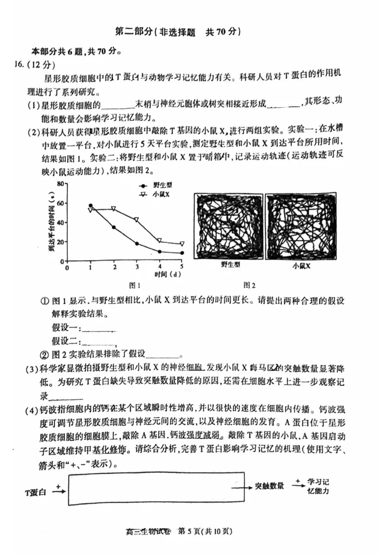 《6_2024北京市顺义一模（试卷+答案）_2025版教学资源包_（总复习系列）2025版《5年高考3年模拟》新高考版B版（⭐全科）_2025版.新高考新教材版.选考总复习.生物.5·3B版_1_资源拓展》第5页预览