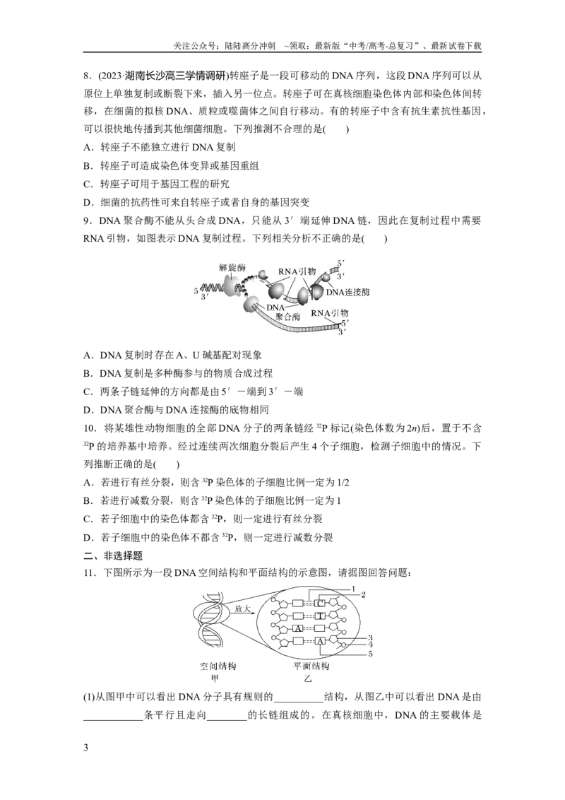 《第6单元　课时练2　DNA的结构与复制_06-生物-高考总复习_一轮复习_2024年_2024高考生物大一轮复习课件讲义新人教版知识总结_2024年高考生物一轮复习讲义（新人教版）_学生版在此文件夹》第3页预览