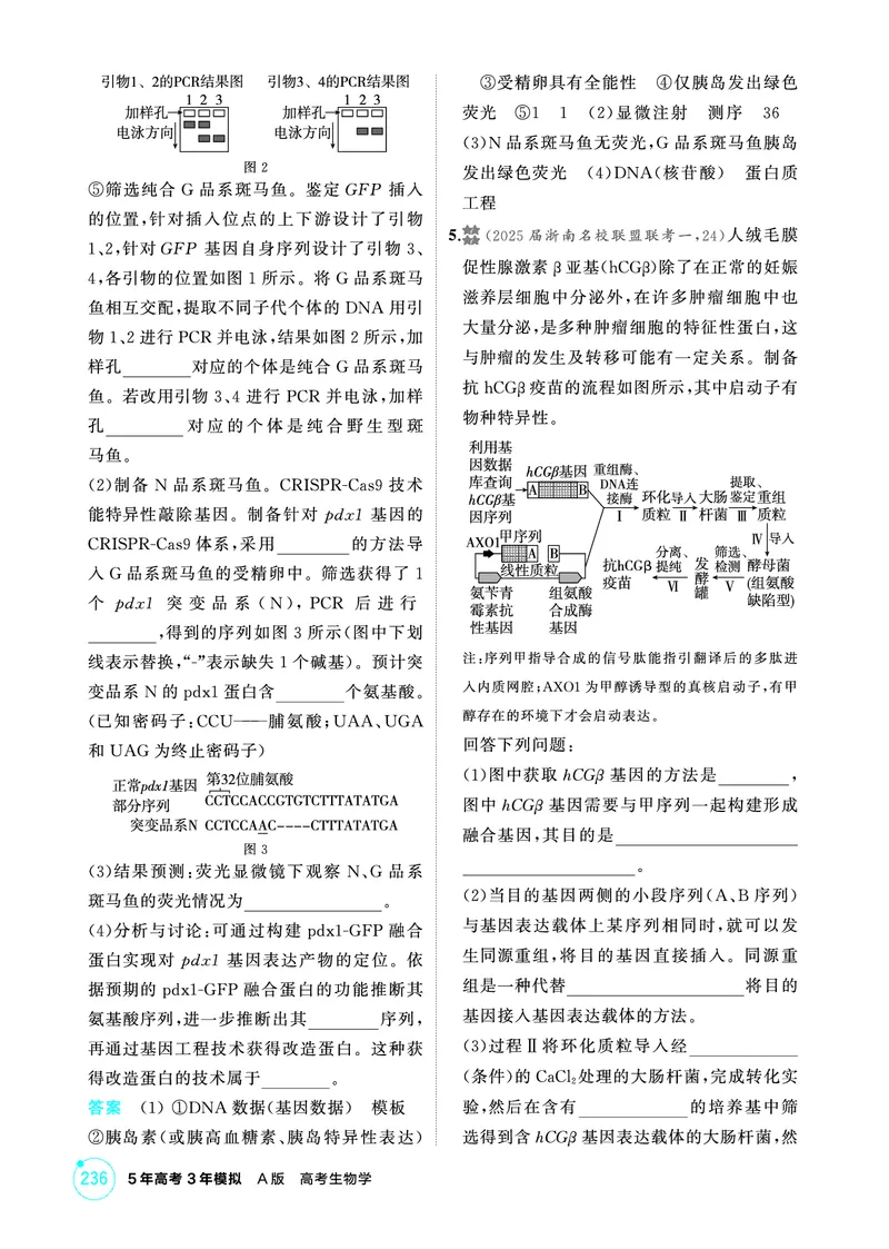 《1_精练册-第21章基因工程_2026版教学资源包_202653高考总复习A版_浙江版_2026版.浙江版.选考总复习.生物.5·3A版_第5部分生物技术与工程_第21章基因工程_1_精练册PDF》第7页预览