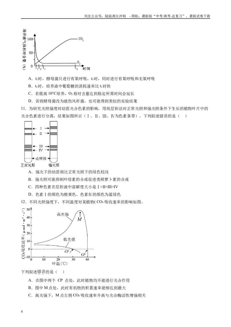 《第三单元细胞的能量供应和利用（测试）（学生版）_06-生物-高考总复习_一轮复习_2025年_2025年新高考生物一轮复习讲义PPT知识点习题训_资料_第三单元细胞的能量供应和利用》第4页预览