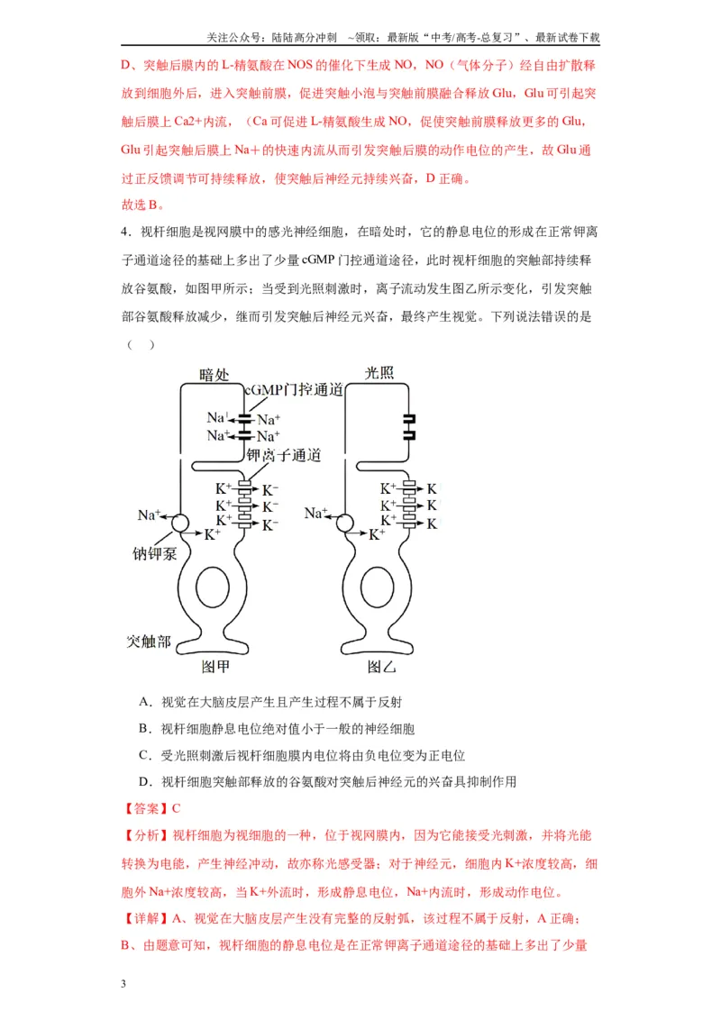 《第八单元生命活动的调节（测试卷）（解析版)_06-生物-高考总复习_一轮复习_2024年_2024年高考生物一轮复习重难点专项突破_资料》第3页预览