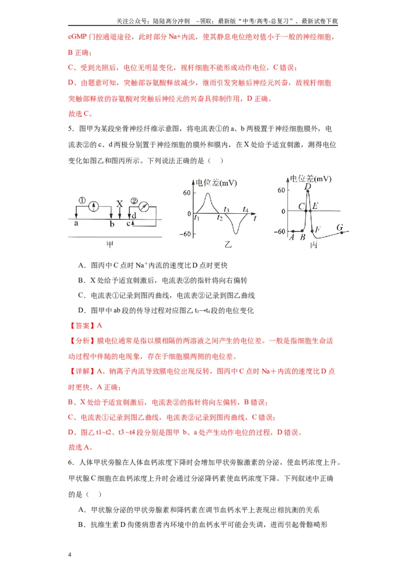 《第八单元生命活动的调节（测试卷）（解析版)_06-生物-高考总复习_一轮复习_2024年_2024年高考生物一轮复习重难点专项突破_资料》第4页预览