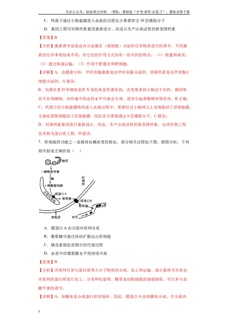 《第八单元生命活动的调节（测试卷）（解析版)_06-生物-高考总复习_一轮复习_2024年_2024年高考生物一轮复习重难点专项突破_资料》第5页预览