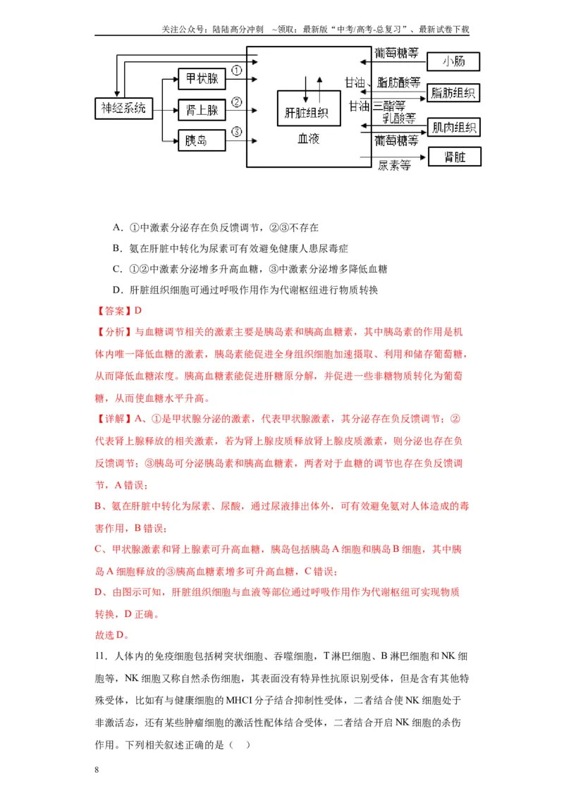 《第八单元生命活动的调节（测试卷）（解析版)_06-生物-高考总复习_一轮复习_2024年_2024年高考生物一轮复习重难点专项突破_资料》第8页预览