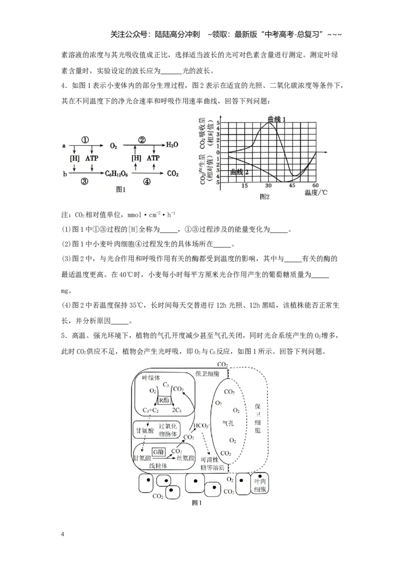 《简答题规范练（学生版）_06-生物-高考总复习_一轮复习_2026年-生物高考一轮复习_2026年高考生物一轮复习讲义+练习+课件（新教材新高考）-G55_2026版_模块检测卷》第4页预览