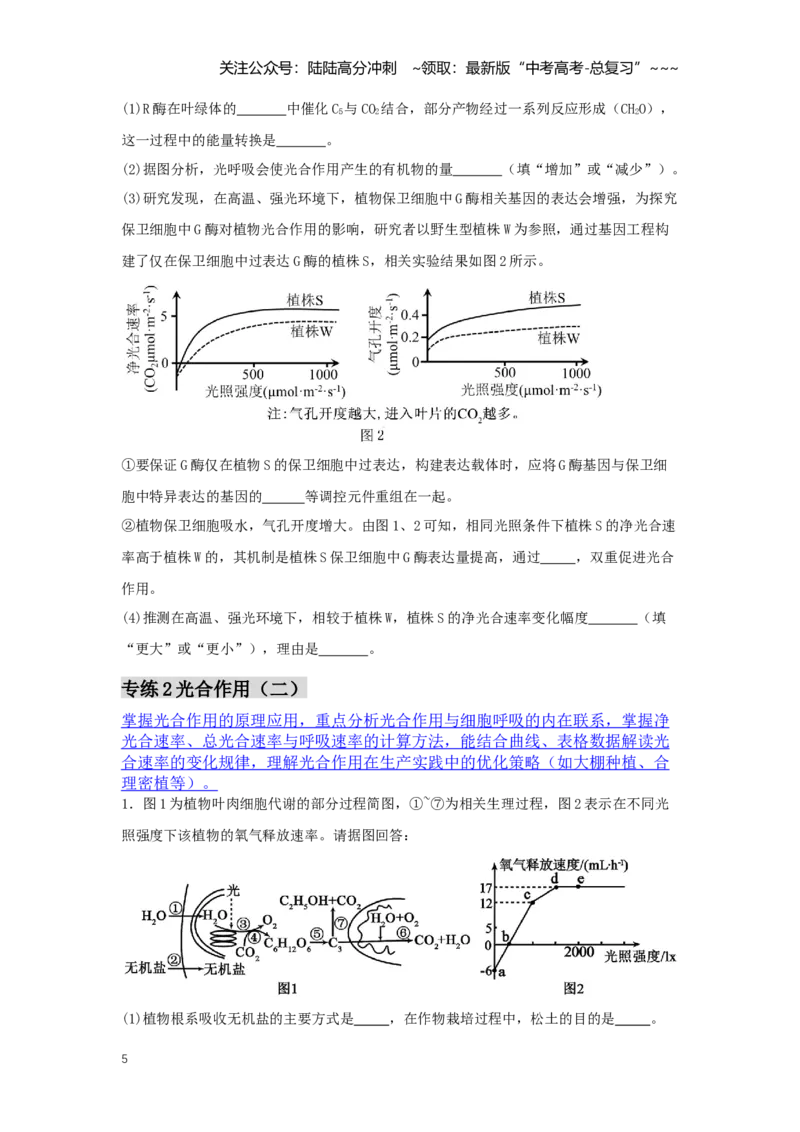 《简答题规范练（学生版）_06-生物-高考总复习_一轮复习_2026年-生物高考一轮复习_2026年高考生物一轮复习讲义+练习+课件（新教材新高考）-G55_2026版_模块检测卷》第5页预览