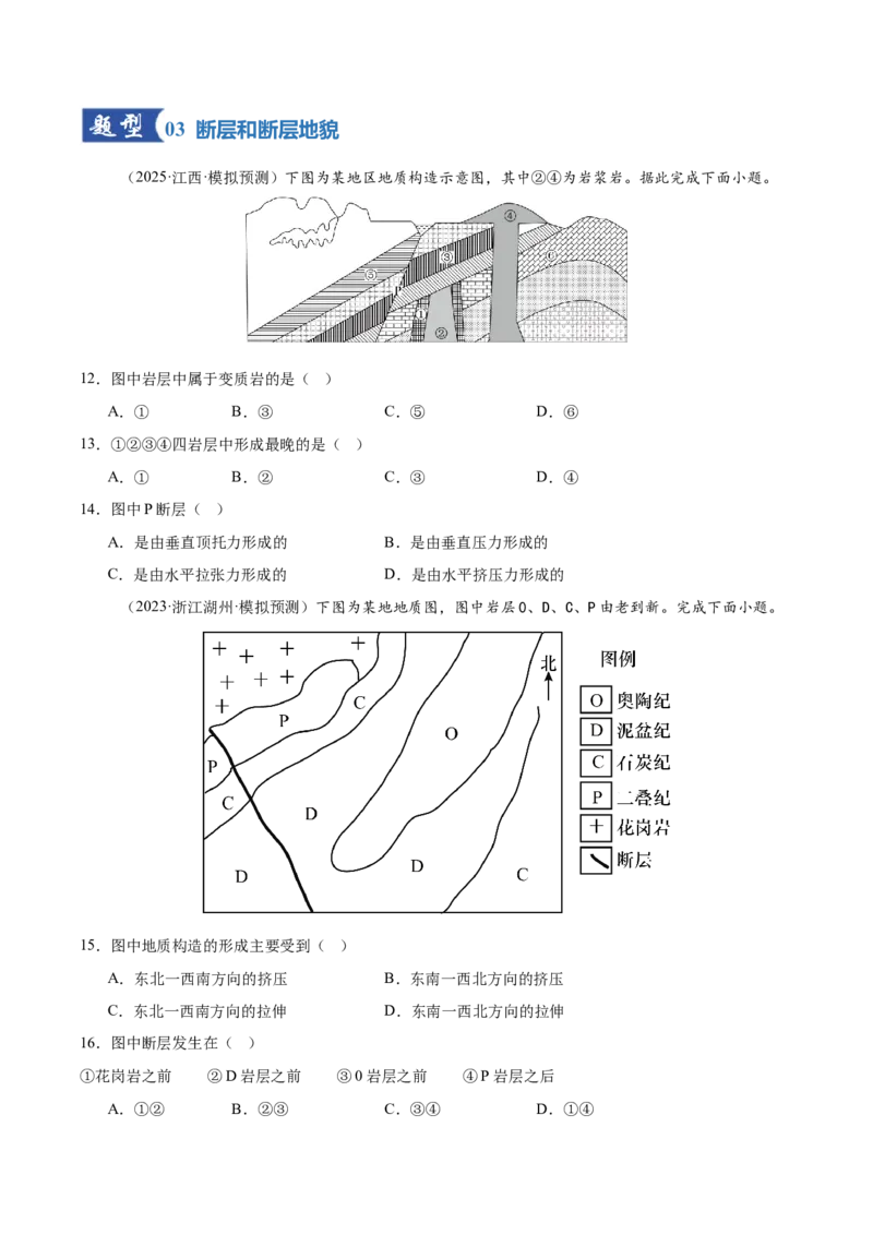 《第14讲板块运动、构造运动及其地貌（专项训练）（湖南专用）（原卷版）_地理_2026年_2026年高考地理一轮课件+讲义+练习（湖南专用）-G331》第5页预览
