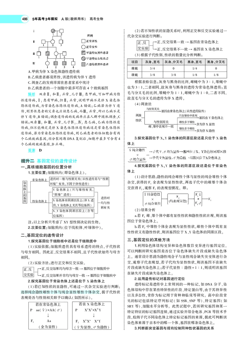 《专题12　伴性遗传与人类遗传病_2022版教学资源包_五年高考三年模拟_2022版新高考版选考总复习生物5·3A版_0125143739_专题12伴性遗传与人类遗传病_专题PDF_专题PDF_专题电子书》第10页预览