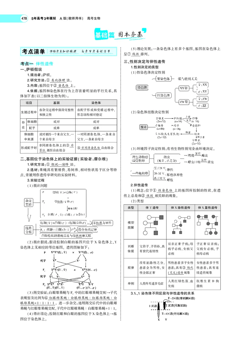 《专题12　伴性遗传与人类遗传病_2022版教学资源包_五年高考三年模拟_2022版新高考版选考总复习生物5·3A版_0125143739_专题12伴性遗传与人类遗传病_专题PDF_专题PDF_专题电子书》第2页预览
