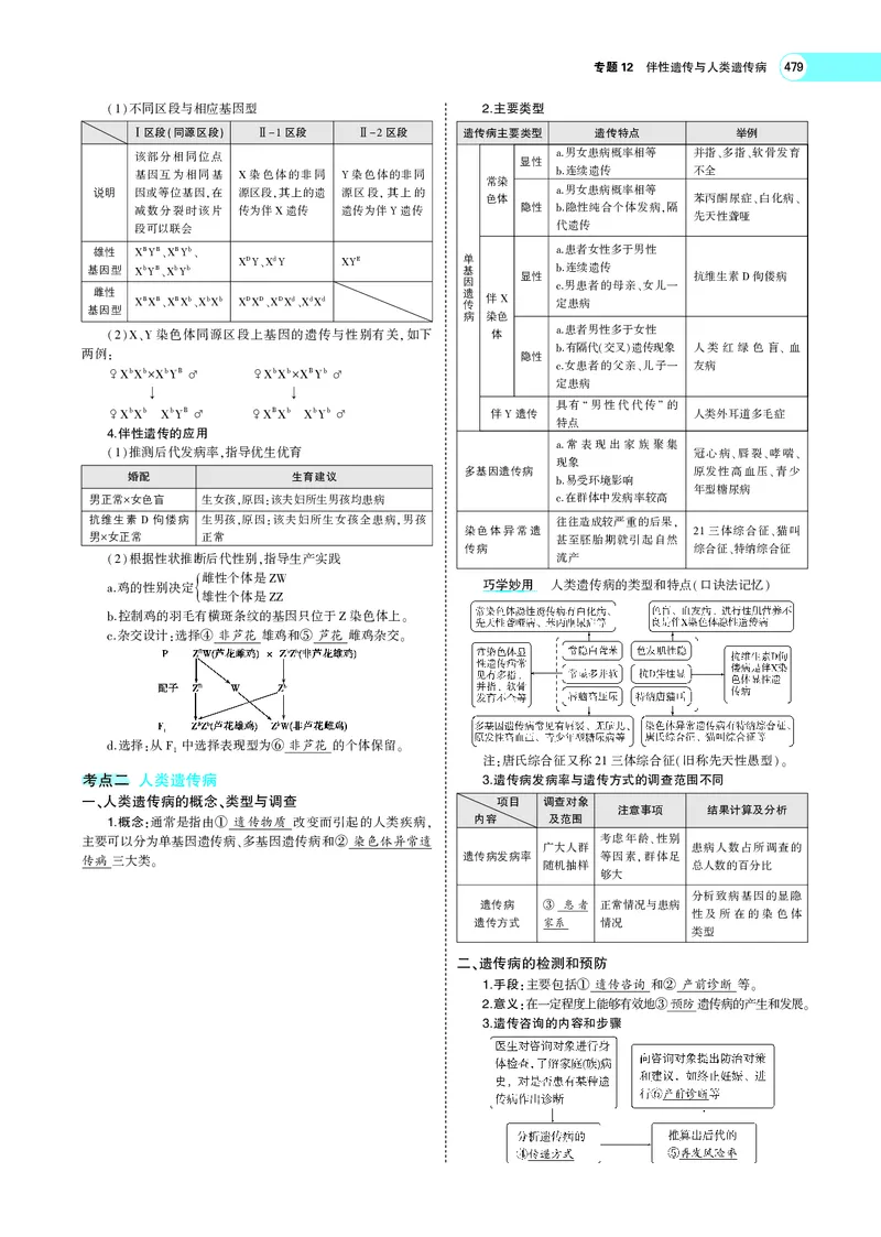 《专题12　伴性遗传与人类遗传病_2022版教学资源包_五年高考三年模拟_2022版新高考版选考总复习生物5·3A版_0125143739_专题12伴性遗传与人类遗传病_专题PDF_专题PDF_专题电子书》第3页预览