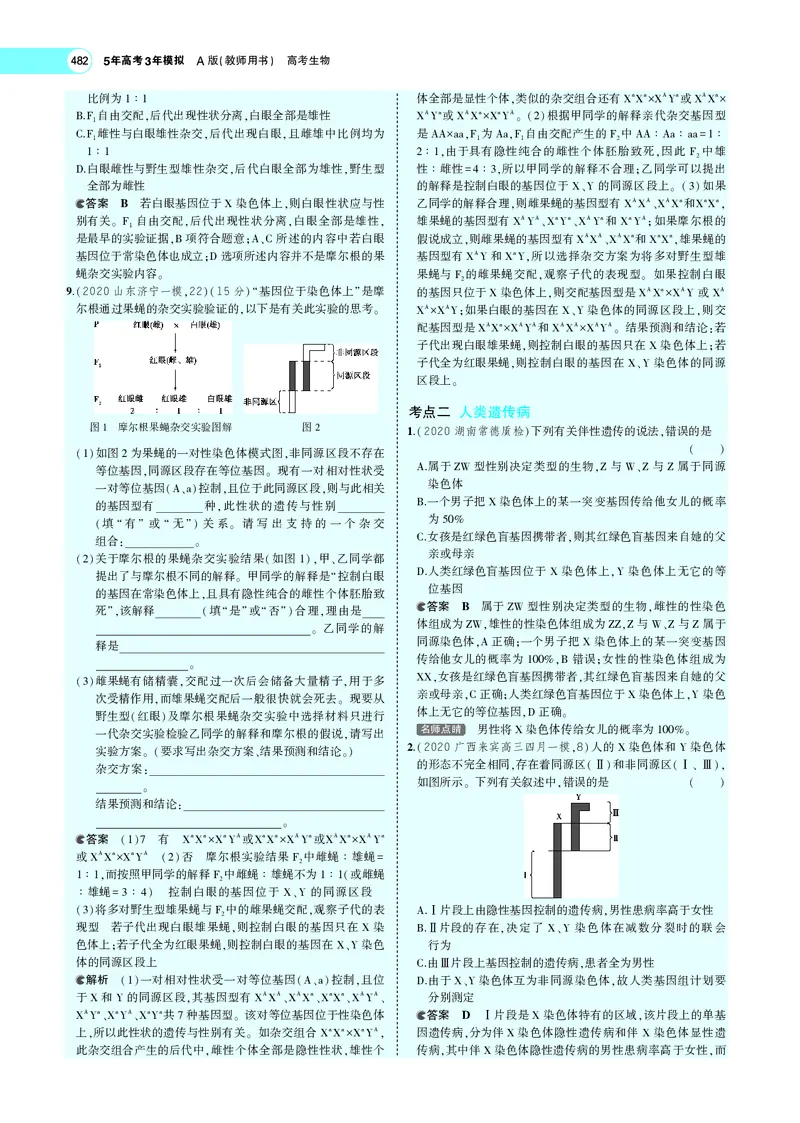 《专题12　伴性遗传与人类遗传病_2022版教学资源包_五年高考三年模拟_2022版新高考版选考总复习生物5·3A版_0125143739_专题12伴性遗传与人类遗传病_专题PDF_专题PDF_专题电子书》第6页预览