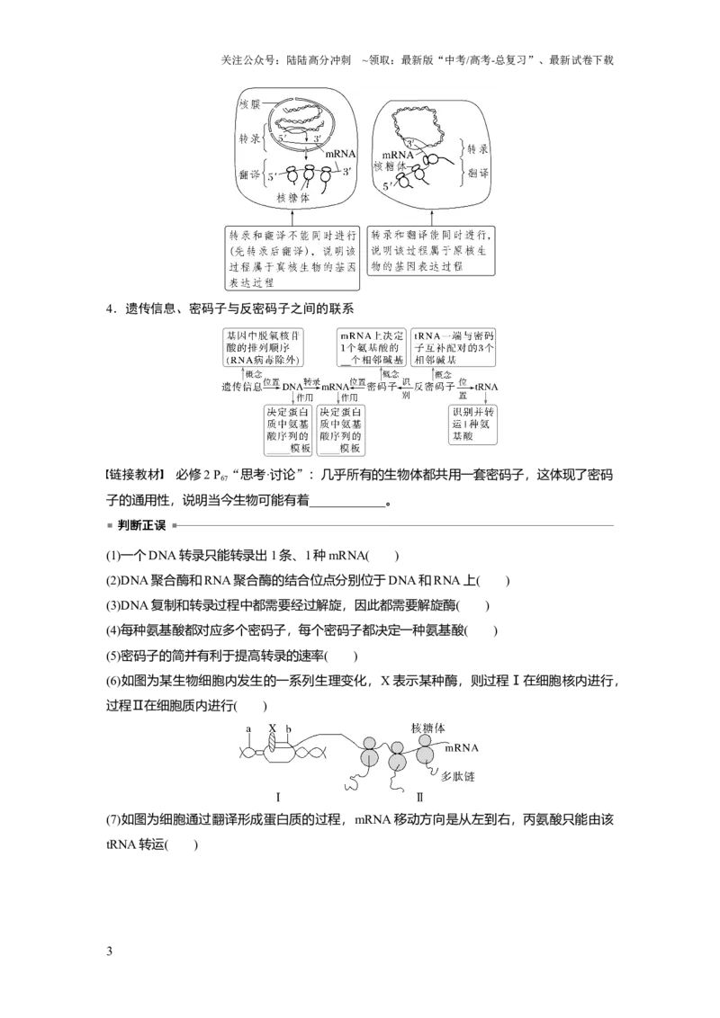 《第六单元　第31课时　基因的表达_06-生物-高考总复习_一轮复习_2025年_2025年大一轮复习讲义人教版生物_资料_1-资料_大一轮复习讲义学生专用_2025大一轮复习讲义》第3页预览