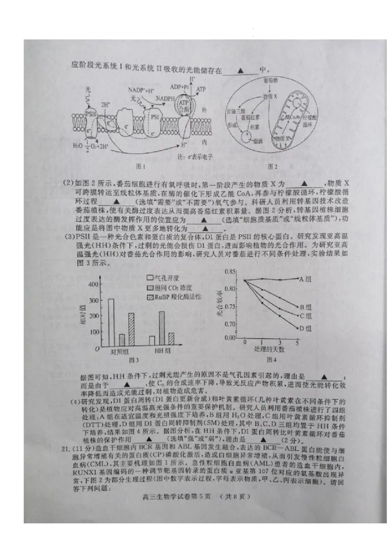《6_2023届江苏省南京市、盐城市高三下学期第一次调研测（一模）生物试题_2025版教学资源包_（总复习系列）2025版《5年高考3年模拟》新高考版A版（⭐全科）_第二部分图书拓展资源》第5页预览