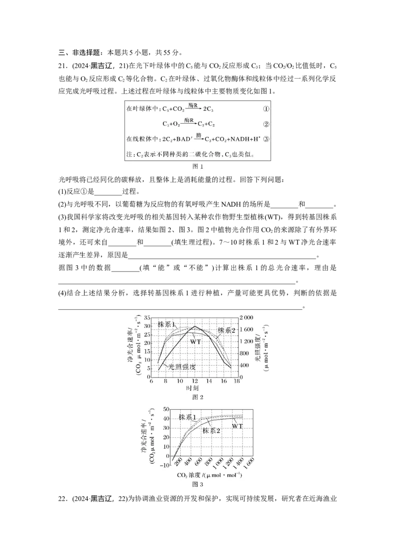 《2024年吉林省普通高等学校招生选择性考试(吉林、辽宁、黑龙江)生物学_2026版高中《二三轮复习+冲刺复习》_2021-2025生物高考题_2024生物高考题_学生》第7页预览