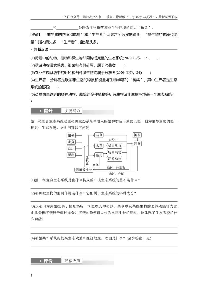 《第九单元　第51课时　生态系统的结构_06-生物-高考总复习_一轮复习_2025年_2025年大一轮复习讲义人教版生物_资料_1-资料_大一轮复习讲义学生专用_2025大一轮复习讲义》第3页预览