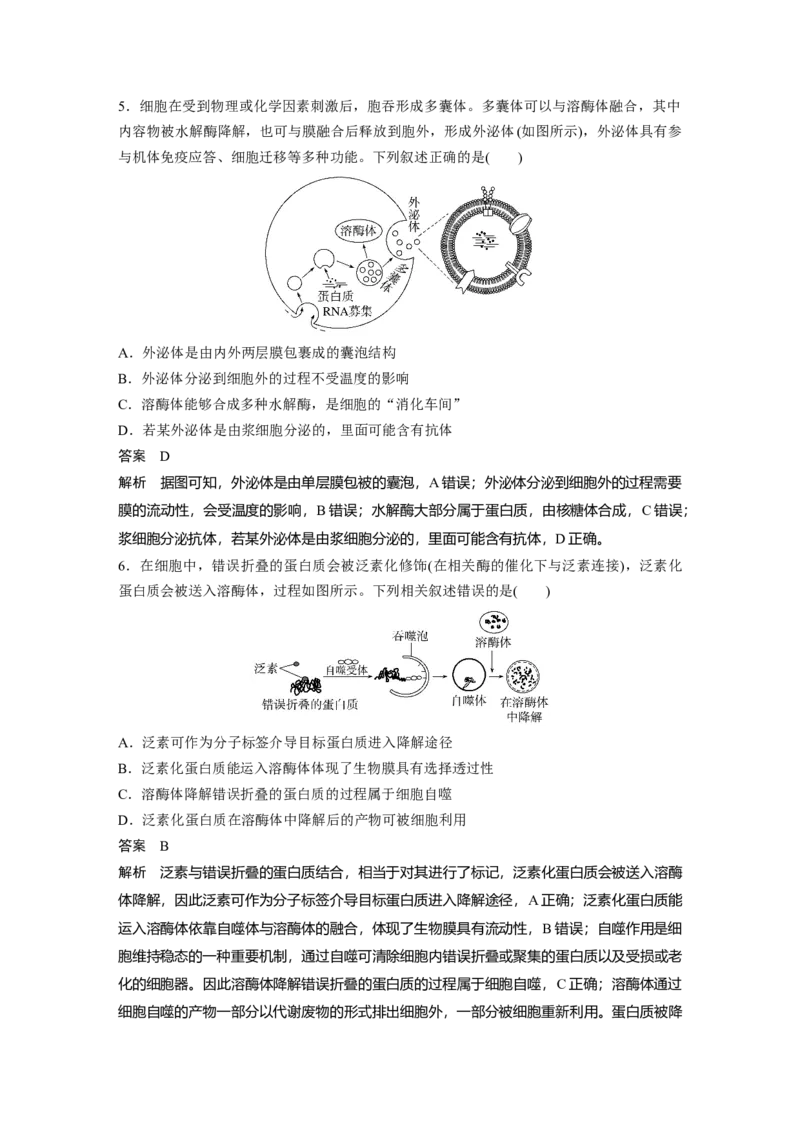 《1.细胞的分子组成与基本结构(1)_2026版高中《二三轮复习+冲刺复习》_高考生物生物二轮2026届高考生物步步高大二轮专题复习教师用书(word版)+教师用书配套PPT+题库(word版)(完整版)》第3页预览