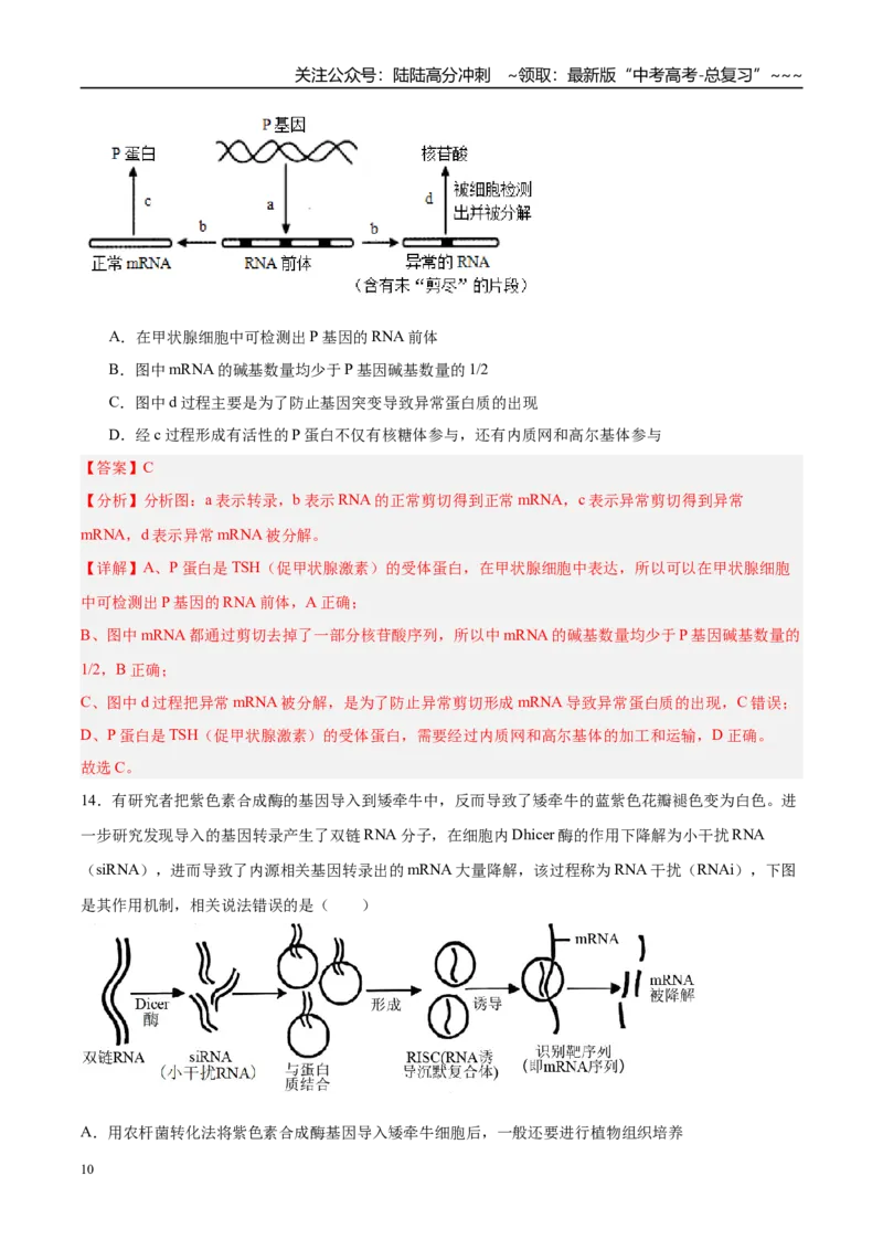 《第六单元遗传的分子基础（综合训练）（黑吉辽蒙专用）（教师版）_06-生物-高考总复习_一轮复习_2026年-生物高考一轮复习_2026年高考生物一轮课件+讲义+练习（黑吉辽蒙专用）-G330》第10页预览