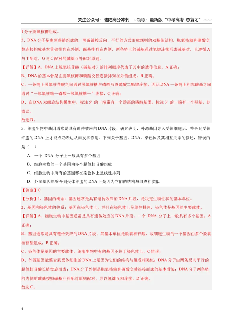 《第六单元遗传的分子基础（综合训练）（黑吉辽蒙专用）（教师版）_06-生物-高考总复习_一轮复习_2026年-生物高考一轮复习_2026年高考生物一轮课件+讲义+练习（黑吉辽蒙专用）-G330》第4页预览