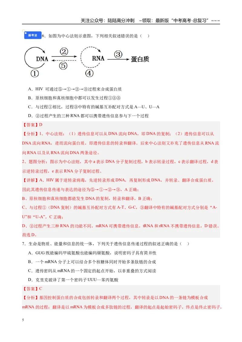 《第六单元遗传的分子基础（综合训练）（黑吉辽蒙专用）（教师版）_06-生物-高考总复习_一轮复习_2026年-生物高考一轮复习_2026年高考生物一轮课件+讲义+练习（黑吉辽蒙专用）-G330》第5页预览