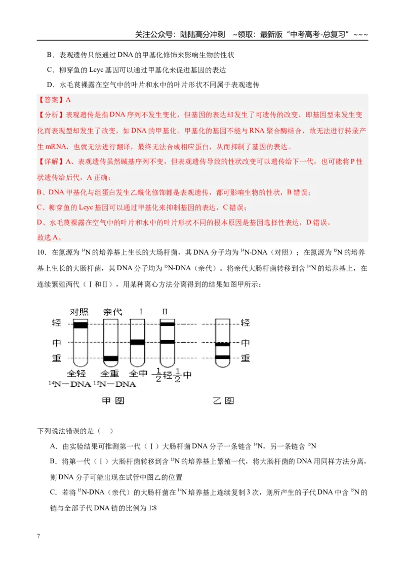 《第六单元遗传的分子基础（综合训练）（黑吉辽蒙专用）（教师版）_06-生物-高考总复习_一轮复习_2026年-生物高考一轮复习_2026年高考生物一轮课件+讲义+练习（黑吉辽蒙专用）-G330》第7页预览