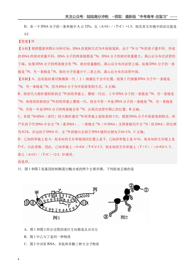 《第六单元遗传的分子基础（综合训练）（黑吉辽蒙专用）（教师版）_06-生物-高考总复习_一轮复习_2026年-生物高考一轮复习_2026年高考生物一轮课件+讲义+练习（黑吉辽蒙专用）-G330》第8页预览