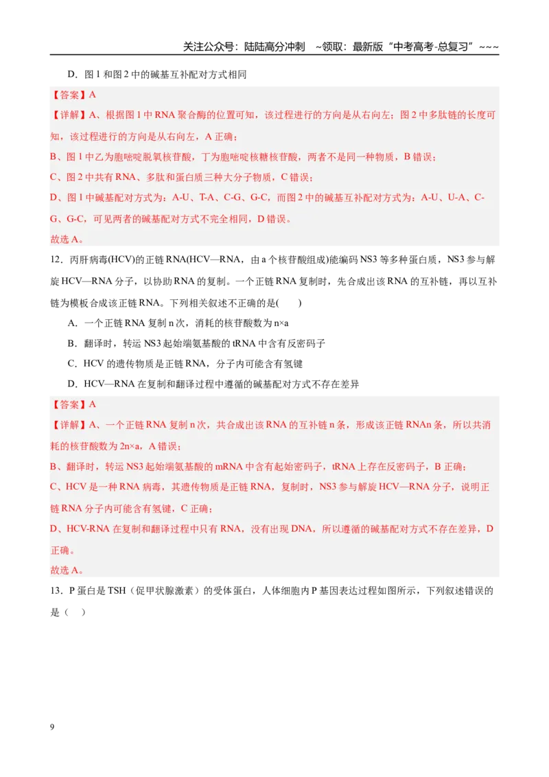 《第六单元遗传的分子基础（综合训练）（黑吉辽蒙专用）（教师版）_06-生物-高考总复习_一轮复习_2026年-生物高考一轮复习_2026年高考生物一轮课件+讲义+练习（黑吉辽蒙专用）-G330》第9页预览