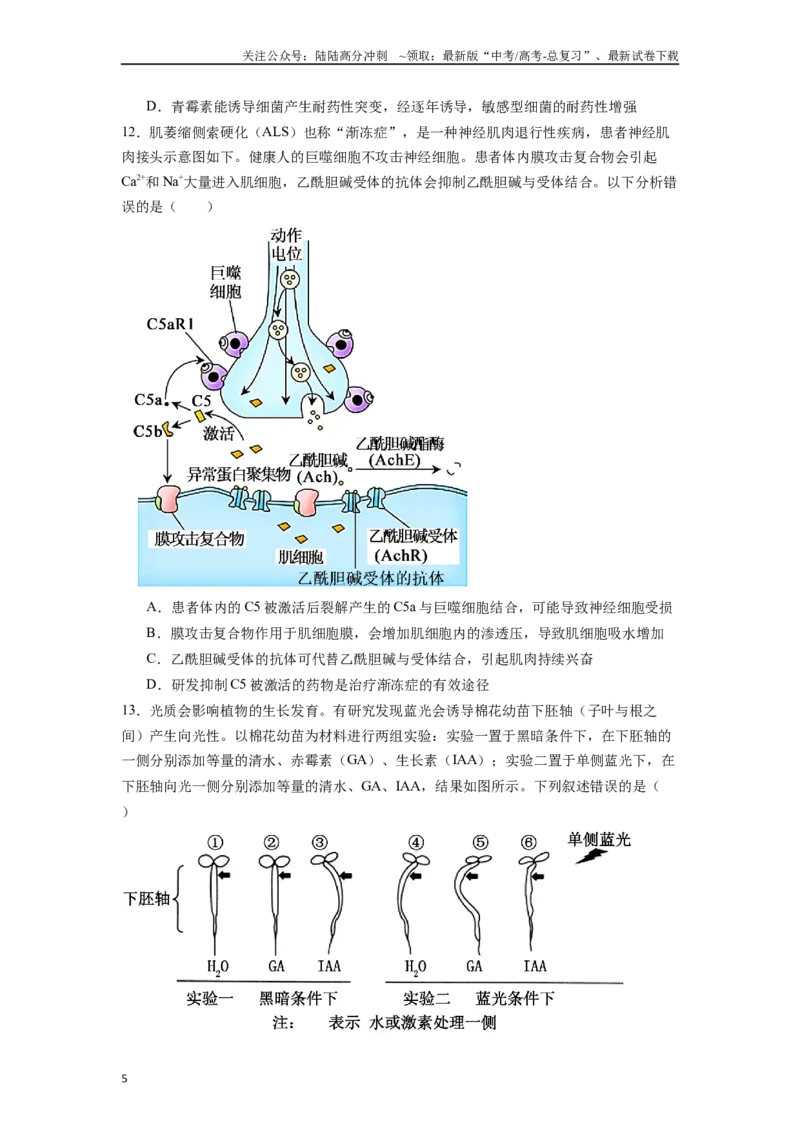 《题型08易错易混类（原卷版）_06-生物-高考总复习_专项复习_2024年_2024年高考生物热点题型押题习题专项训练全国通用_资料》第5页预览