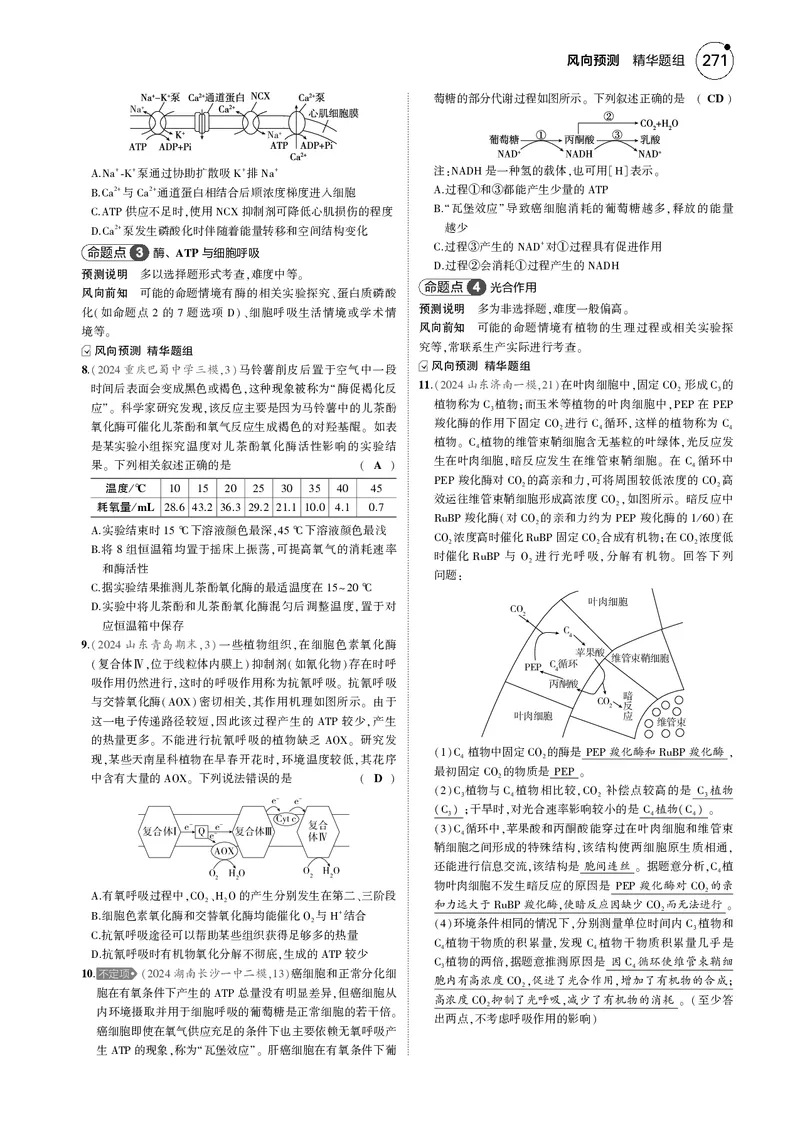 《8_2025版5·3B版新高考版一年预测PDF_2025版教学资源包_（总复习系列）2025版《5年高考3年模拟》新高考版B版（⭐全科）_2025版.新高考新教材版.选考总复习.生物.5·3B版_一年预测》第8页预览