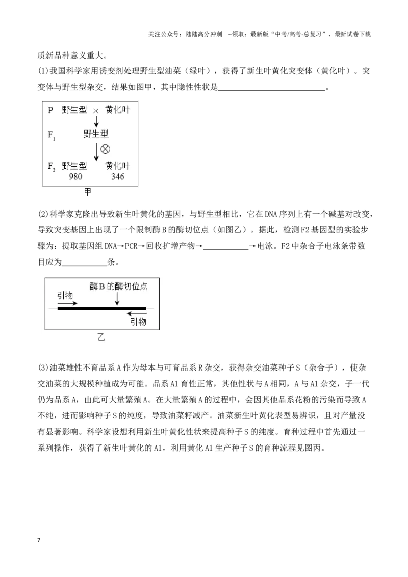 《题型07遗传（解析版）_06-生物-高考总复习_专项复习_2024年_2024年高考生物答题技巧与模板构建》第7页预览