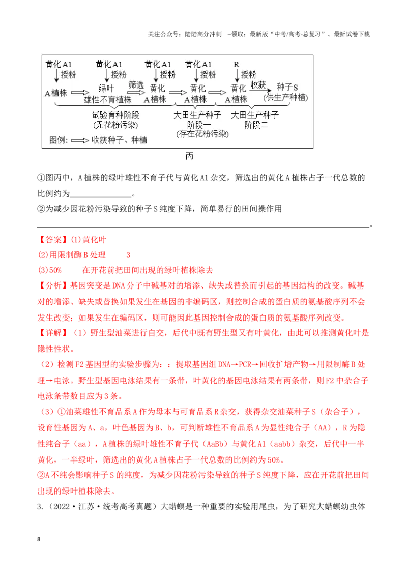 《题型07遗传（解析版）_06-生物-高考总复习_专项复习_2024年_2024年高考生物答题技巧与模板构建》第8页预览