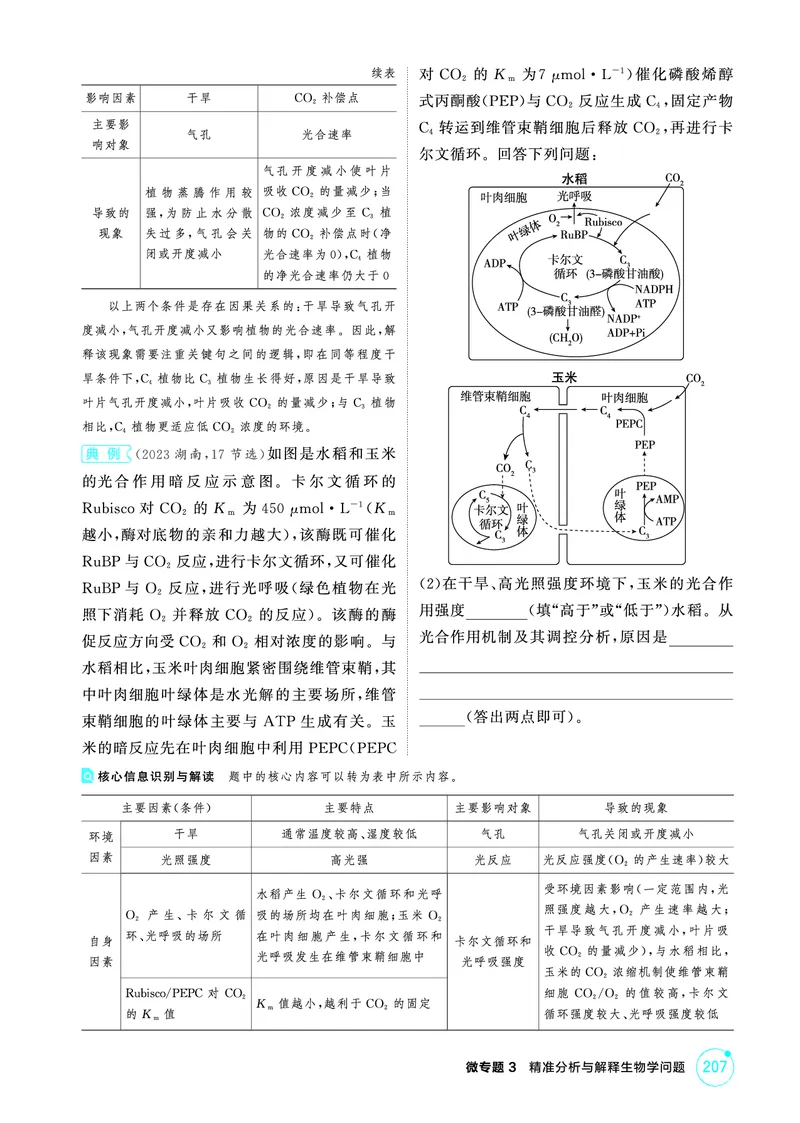 《1_精讲册-微专题3精准分析与解释生物学问题_2026版教学资源包_202653高考总复习A版_浙江版_2026版.浙江版.选考总复习.生物.5·3A版_微专题_微专题3精准分析与解释生物学问题_2_精讲册PDF》第3页预览