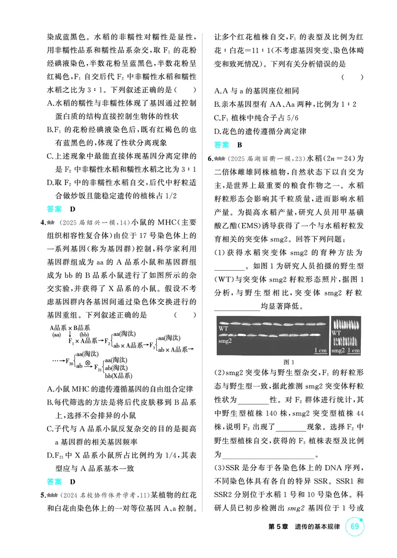 《1_精练册-第5章遗传的基本规律_2026版教学资源包_202653高考总复习A版_浙江版_2026版.浙江版.选考总复习.生物.5·3A版_第2部分遗传与进化_第5章遗传的基本规律_1_精练册PDF》第3页预览