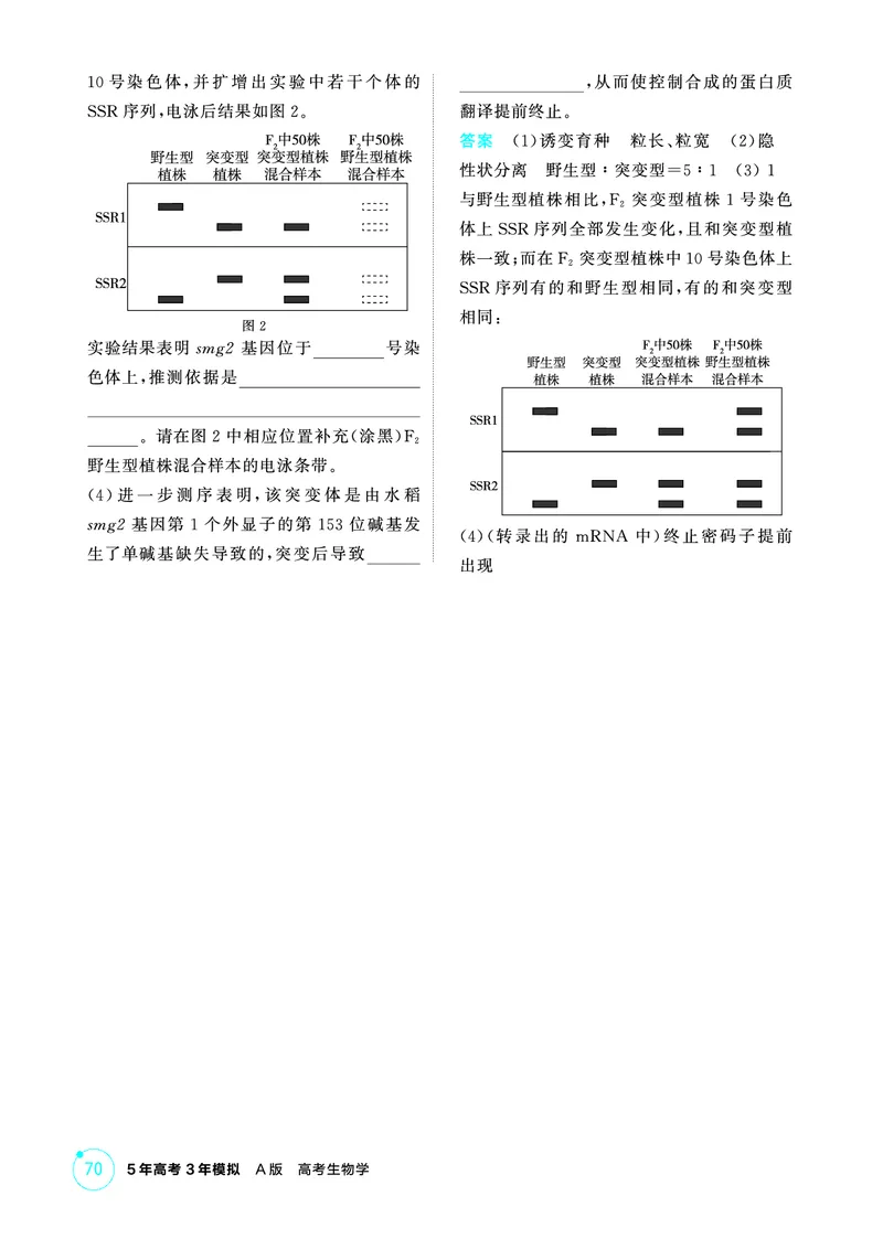 《1_精练册-第5章遗传的基本规律_2026版教学资源包_202653高考总复习A版_浙江版_2026版.浙江版.选考总复习.生物.5·3A版_第2部分遗传与进化_第5章遗传的基本规律_1_精练册PDF》第4页预览