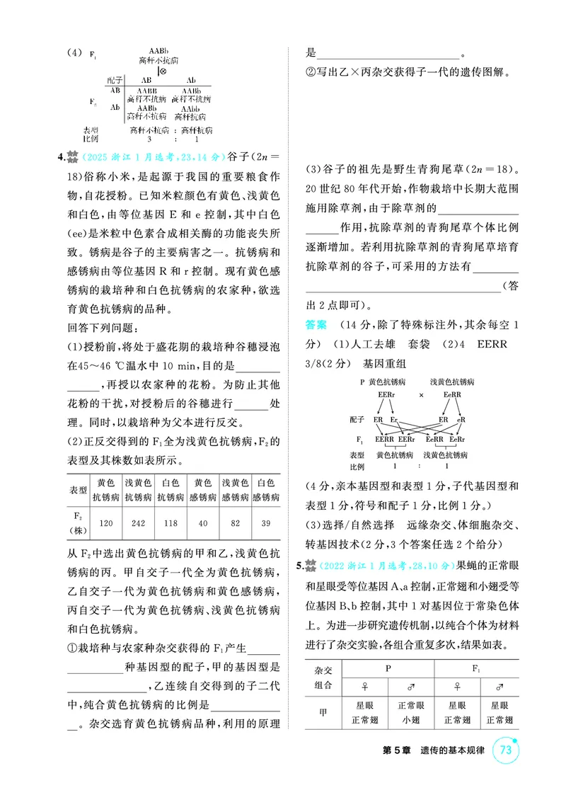 《1_精练册-第5章遗传的基本规律_2026版教学资源包_202653高考总复习A版_浙江版_2026版.浙江版.选考总复习.生物.5·3A版_第2部分遗传与进化_第5章遗传的基本规律_1_精练册PDF》第7页预览