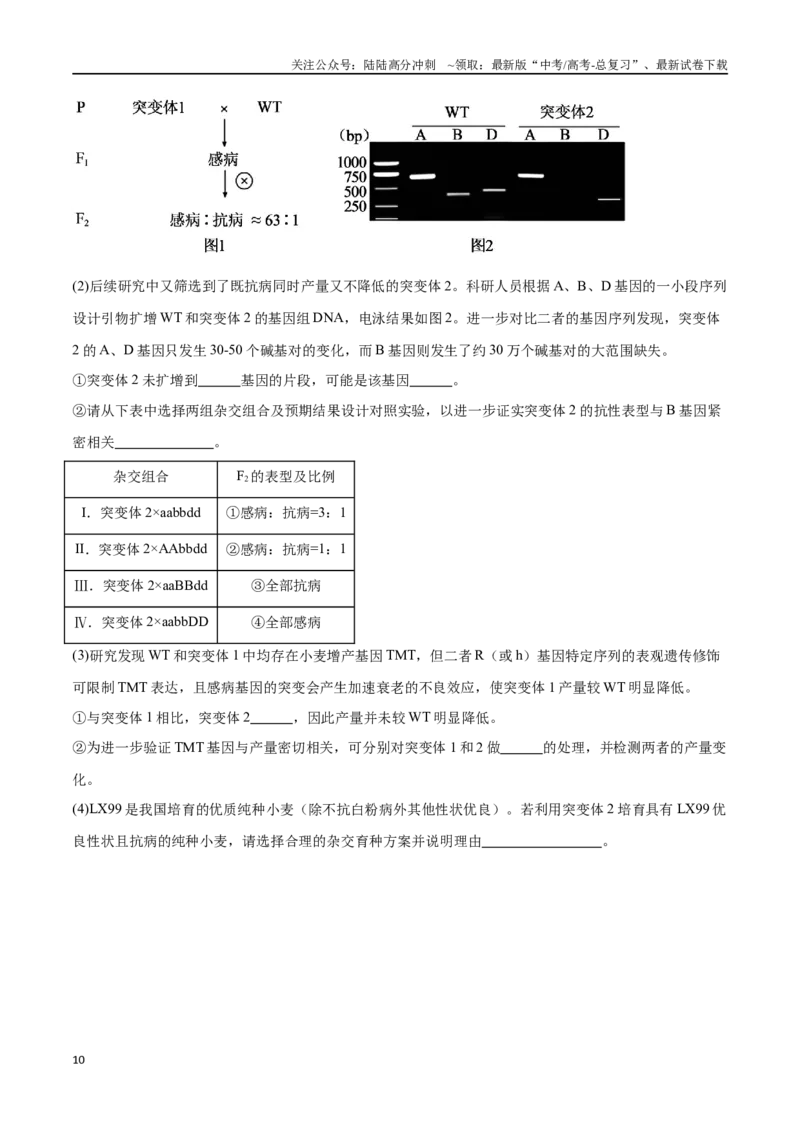 《选择性必修3生物技术与工程必刷卷02（原卷版）_06-生物-高考总复习_一轮复习_2024年_2024年高考生物一轮复习收官必刷卷（新教材新高考）_资料》第10页预览