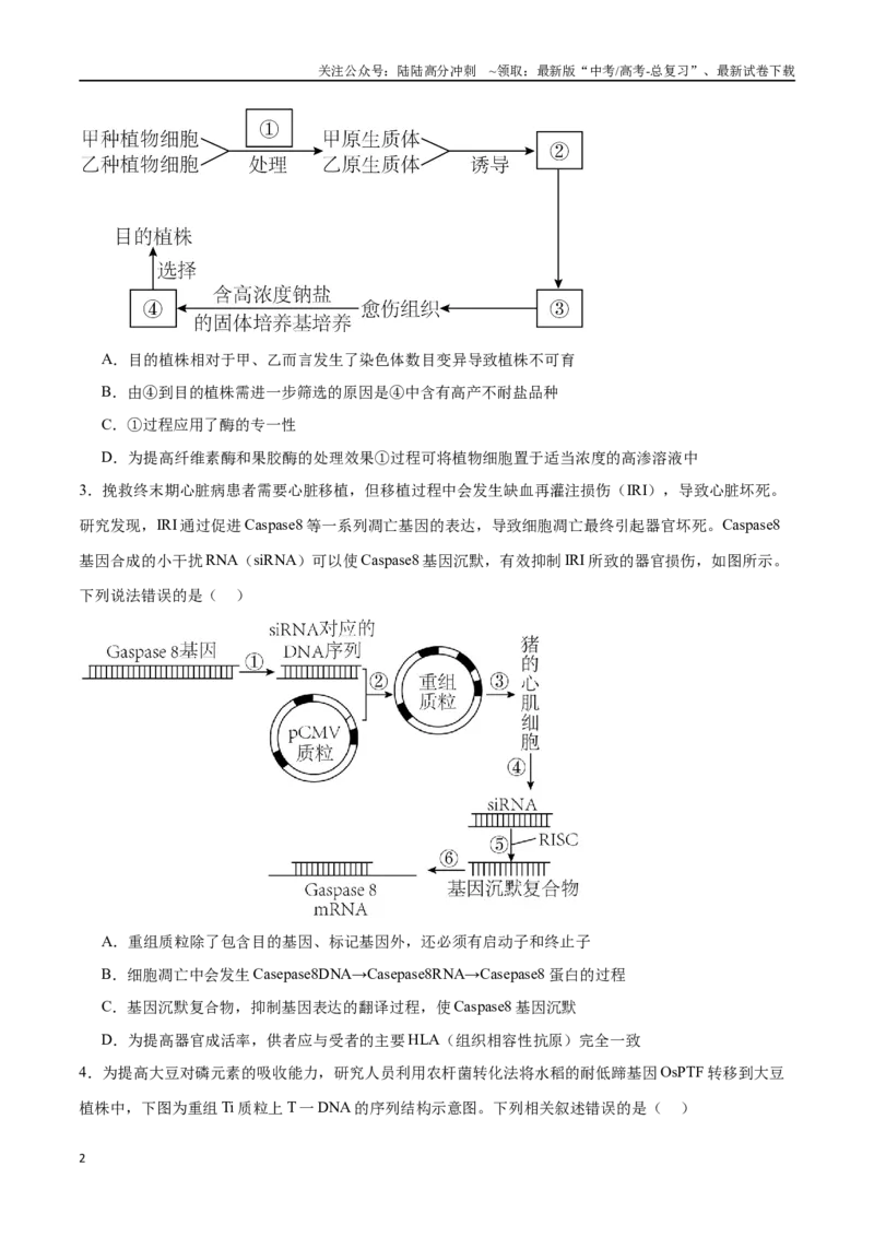 《选择性必修3生物技术与工程必刷卷02（原卷版）_06-生物-高考总复习_一轮复习_2024年_2024年高考生物一轮复习收官必刷卷（新教材新高考）_资料》第2页预览