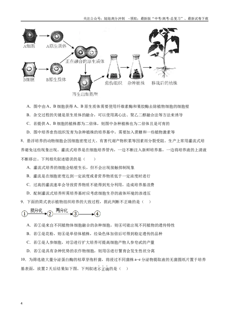 《选择性必修3生物技术与工程必刷卷02（原卷版）_06-生物-高考总复习_一轮复习_2024年_2024年高考生物一轮复习收官必刷卷（新教材新高考）_资料》第4页预览