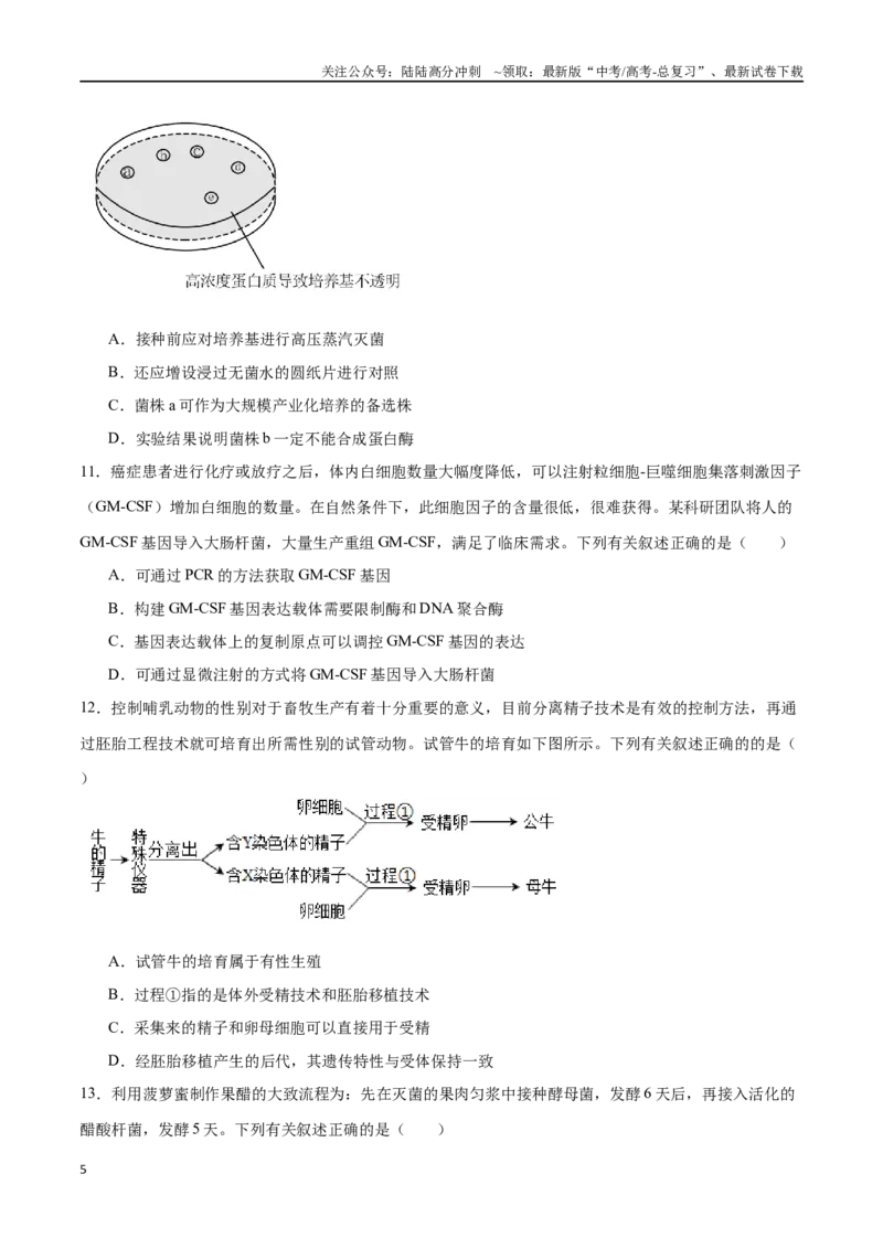 《选择性必修3生物技术与工程必刷卷02（原卷版）_06-生物-高考总复习_一轮复习_2024年_2024年高考生物一轮复习收官必刷卷（新教材新高考）_资料》第5页预览