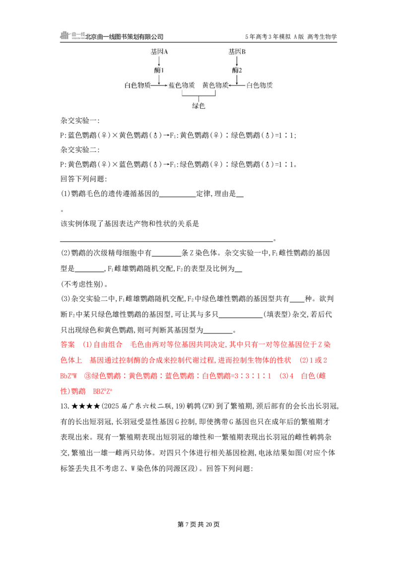 《1_精练册word-第8章　伴性遗传和人类遗传病_2026版教学资源包_202653高考总复习A版_广东版_2026版.广东版.选考总复习.生物.5·3A版_第2部分遗传与进化_第8章伴性遗传和人类遗传病_3_习题WORD》第7页预览